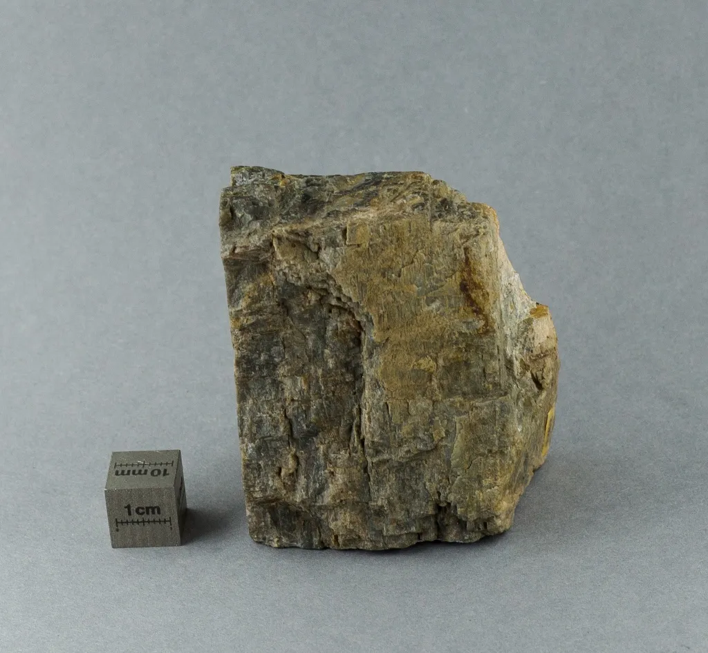Labradorite Botryoidal Specimen